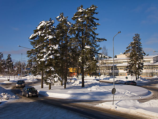 Riihim&auml;enkatua